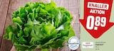 Kopfsalat im REWE Prospekt Kopfsalat von REWE Regional im aktuellen REWE Prospekt für 0,89 €