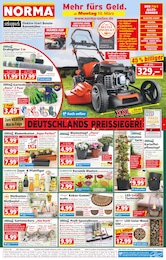 Blumenkasten Angebot im aktuellen Norma Prospekt auf Seite 1