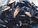MOULES DE BOUCHOT DES ÎLES CHAUSEY SPÉCIALITÉ TRADITIONNELLE GARANTIE - SANS MARQUE - Auchan Hypermarché à Noisy-le-Grand MOULES DE BOUCHOT DES ÎLES CHAUSEY SPÉCIALITÉ TRADITIONNELLE GARANTIE - SANS MARQUE en promo chez Auchan Hypermarché Noisy-le-Grand à 3,99 €