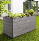 Hochbeet im aktuellen porta Möbel Prospekt