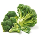 Broccoli von GO Regio im aktuellen Netto mit dem Scottie Prospekt