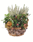 Bepflanzter Herbstkorb Angebote bei Lidl Singen für 6,99 €