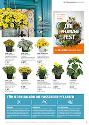 Aktueller OBI Prospekt mit Sonnenblume, "Alles Machbar In deinem Garten", Seite 3