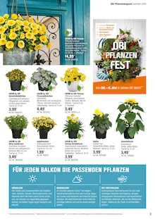 Balkonpflanzen im OBI Prospekt "Alles Machbar In deinem Garten" mit 20 Seiten (Hamm)