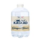 Ginger beer - SANS - Carrefour à Massy Ginger beer - SANS en promo chez Carrefour Massy à 1,89 €