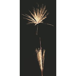 Bombenrohre Double Crusher