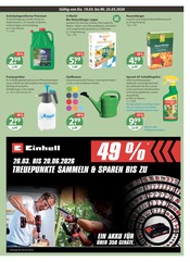 Aktueller V-Markt Prospekt mit Gartenwerkzeug, "V-Markt einfach besser einkaufen", Seite 19