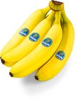 Aktuelle Bananen Angebote bei Netto Marken-Discount in Pforzheim Aktuelles Bananen Angebot bei Netto Marken-Discount in Pforzheim ab 1,99 €