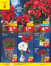 Aktueller Netto Marken-Discount Prospekt mit Weihnachtsstern, "Aktuelle Angebote", Seite 22