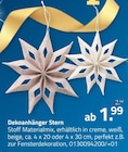 Dekoanhänger Stern im aktuellen ROLLER Prospekt