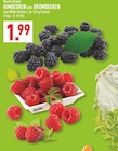 Angebot im Marktkauf Hagen (Stadt der FernUniversitĂ€t) Prospekt Marktkauf Hagen (Stadt der FernUniversitĂ€t) Prospekt mit im Angebot fĂŒr 1,99 âŹ