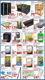 Wreesmann Heckenschere im Prospekt 