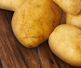 Spargel-Kartoffeln im Angebot bei REWE in Neuss Spargel-Kartoffeln Angebote von REWE Beste Wahl bei REWE Neuss für 1,79 €