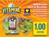 Aktuelle Salat Angebote bei diska in Dresden Aktuelles Salatrio mit Wurzelballen Angebot bei diska in Dresden ab 1,00 €