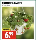 Aktuelle Erdbeerpflanzen Angebote bei Wreesmann in Dresden Aktuelles Erdbeere ampel Angebot bei Wreesmann in Dresden ab 6,99 €