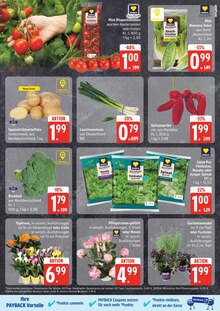 Pfanne Angebot im E center Prospekt, gültig von 16.06.2025 bis 21.06.2025 Pfanne Angebot im aktuellen E center Prospekt auf Seite 3