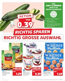 Aktueller Kaufland Brandenburg Prospekt "Aktuelle Angebote" mit 58 Seiten