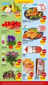 Blumen im Penny Prospekt "Wer günstig will, muss Penny." mit 46 Seiten (Augsburg)