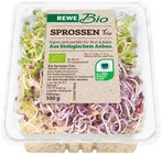 Sprossen Trio im Angebot bei REWE in Bruchsal Sprossen Trio Angebote von REWE Bio bei REWE Bruchsal für 1,19 €