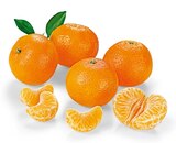 Mandarinen von REWE Beste Wahl im aktuellen REWE Prospekt für 2,22 €