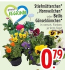 Stiefmütterchen, Hornveilchen oder Bellis Gänseblümchen Angebote bei EDEKA Ravensburg für 0,79 €