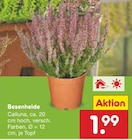 Besenheide im Netto Marken-Discount Prospekt Besenheide von im aktuellen Netto Marken-Discount Prospekt für 1,99 €