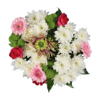 Exklusiver Blumenstrauß im Angebot bei Lidl in Wilhelmshaven Exklusiver Blumenstrauß Angebote bei Lidl Wilhelmshaven für 14,99 €