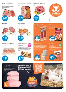 Steak im V-Markt Prospekt "V-Markt einfach besser einkaufen" mit 26 Seiten (Regensburg)