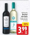 Barefoot im aktuellen E center Prospekt