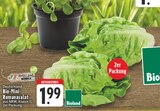 Angebot im E center Viersen Prospekt E center Viersen Prospekt mit im Angebot für 1,99 €