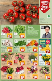 Blumen im REWE Prospekt in Braunschweig Aktueller REWE Prospekt mit Blumen, "Dein Markt", Seite 9