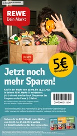 Aktueller REWE Discounter Prospekt in Neunkirchen und Umgebung, "Dein Markt" mit 32 Seiten, 10.03.2025 - 15.03.2025