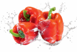 Aktuelles Paprika rot Angebot bei Netto Marken-Discount in Hamburg ab 0,49 €
