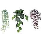 Kunstpflanze mit Wandhalterung drinnen/draußen/grün/lila von FEJKA im aktuellen IKEA Prospekt