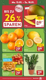 Aktueller ALDI Nord Prospekt mit Mango, "Aktuelle Angebote", Seite 3