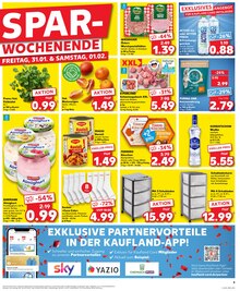 Schweinefilet im Kaufland Prospekt "Aktuelle Angebote" mit 32 Seiten (Dresden)