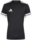 Aktuelles Herren-T-Shirt Angebot bei Penny in Dresden ab 14,99 €