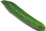 Gurke von GO BIO für 0,85 € bei Netto mit dem Scottie im Angebot Gurke von GO BIO im aktuellen Netto mit dem Scottie Prospekt