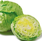 Eisbergsalat im aktuellen Netto mit dem Scottie Prospekt