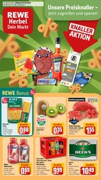 REWE Prospekt für Rommerskirchen mit 30 Seiten REWE Prospekt "Dein Markt" für Rommerskirchen, 30 Seiten, 30.06.2025 - 05.07.2025