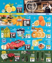 Aktueller EDEKA Prospekt mit Bio, "DAS BESTE DER WOCHE", Seite 3