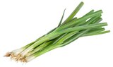 Aktuelle Gemüse Angebote bei REWE in Pforzheim Aktuelles Lauchzwiebeln Angebot bei REWE in Pforzheim ab 0,65 €