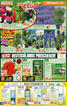 Gartenerde im Norma Prospekt "Mehr fürs Geld" mit 21 Seiten (Chemnitz)