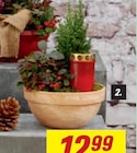 Aktuelle Blumentopf Angebote bei toom Baumarkt in Essen Aktuelles Schale mit Grabkerze Angebot bei toom Baumarkt in Essen ab 15,99 €