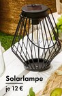 Solarlampe Angebote bei TEDi Trier für 12,00 €
