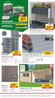 Akku Rasenmäher Angebot im toom Baumarkt Prospekt, gültig von 24.05.2025 bis 30.05.2025 Akku Rasenmäher Angebot im aktuellen toom Baumarkt Prospekt auf Seite 6