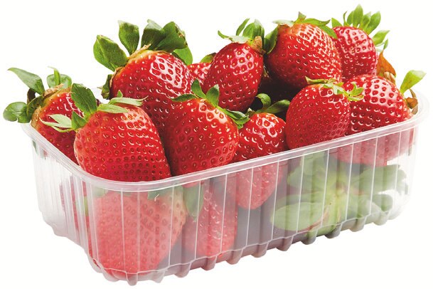 Fraises rondes