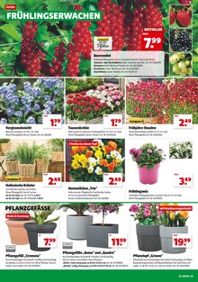 hagebaumarkt Filialen in Burgdorf Adressen und Öffnungszeiten