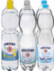 Mineralwasser oder Nearwater im Angebot bei Netto Marken-Discount in Aschaffenburg Mineralwasser oder Nearwater Angebote von Gerolsteiner bei Netto Marken-Discount Aschaffenburg für 3,99 €
