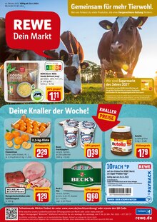 REWE Prospekt für Fürstenstein, Niederbay mit 25 Seiten REWE Prospekt für Fürstenstein, Niederbay: Angebote im Markt, 25 Seiten, 22.11.2021 - 27.11.2021